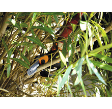 Eine Akku-Kettensäge schneidet Äste eines Baumes