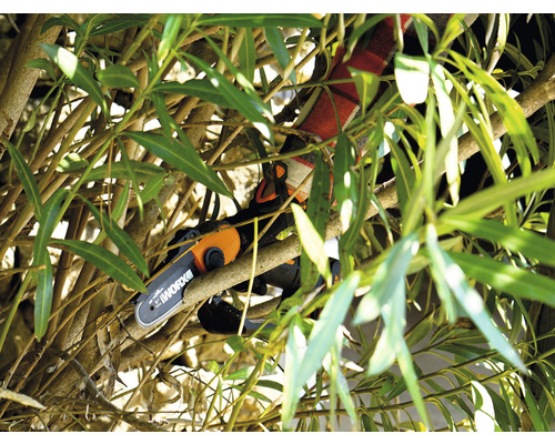 Eine Akku-Kettensäge schneidet Äste eines Baumes