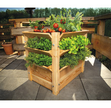 Dreistöckiges Kräuterbeet aus Holz mit Tomaten, Salat und Kräutern auf Terrasse