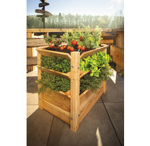 Hochbeet aus Holz mit Kräutern und Tomaten auf einer Terrasse