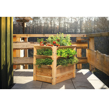 Hochbeet aus Holz mit mehreren Ebenen und verschiedenen Kräutern und Gemüsesorten.