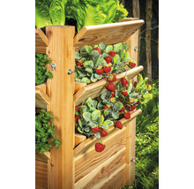 Hochbeet aus Holz mit Erdbeeren und Salat