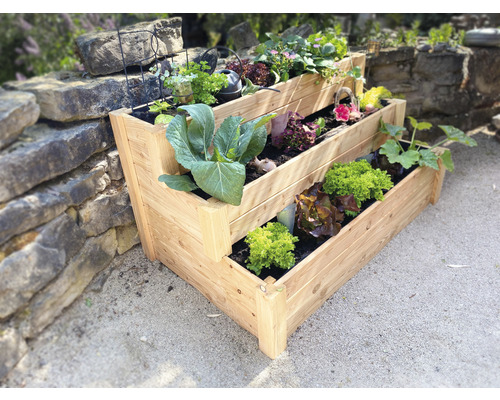 Hochbeet klassisch, Treppenhochbeet WESTMANN Premium 120 x 76 x 64 cm natur Hochbeet aus Holz mit drei Ebenen und verschiedenen Pflanzen