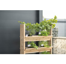 Hochbeet aus Holz mit Kräutern und Pflanzen für den Garten oder Balkon