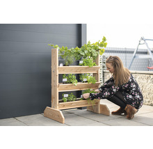 Eine Frau erntet Kräuter von einem Holz-Kräuterregal auf einer Terrasse