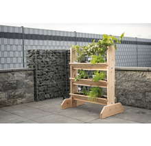 Hochbeet aus Holz mit verschiedenen Kräutern im Garten
