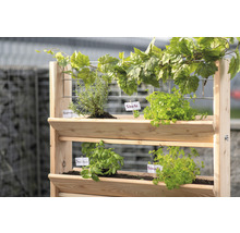 Hochbeet vertikal, Kräuterregal WESTMANN Gr. L 80 x 50 x 82 cm natur