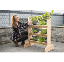 Hochbeet aus Holz mit verschiedenen Kräutern und Pflanzen