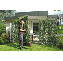 Garten mit immergrünen Pflanzenwänden und einer Person, die die Pflanzenwände beschneidet, für Privatsphäre im Außenbereich