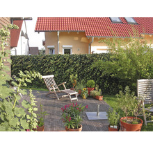 Holzterrasse mit Liegestuhl, Pflanzen in Töpfen und Hecke im Garten.