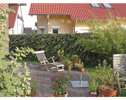 Holzterrasse mit Liegestuhl, Pflanzen in Töpfen und Hecke im Garten.