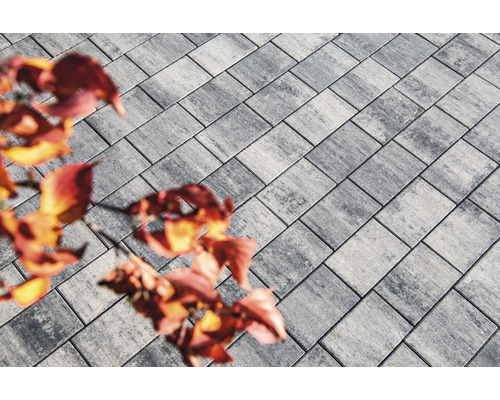 Graue Pflastersteine mit rechteckiger Form und Herbstlaub.