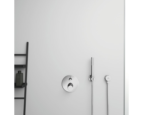 Duscharmatur mit Handbrause und Ablageleiter im Badezimmer