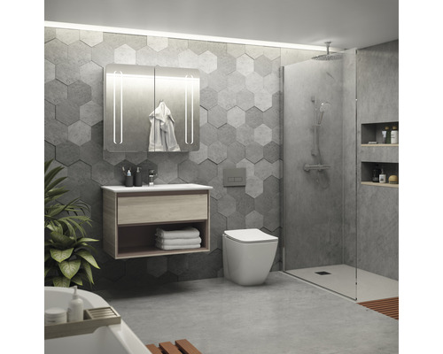 Modernes Badezimmer mit Waschbeckenunterschrank, Spiegelschrank, Toilette und Dusche