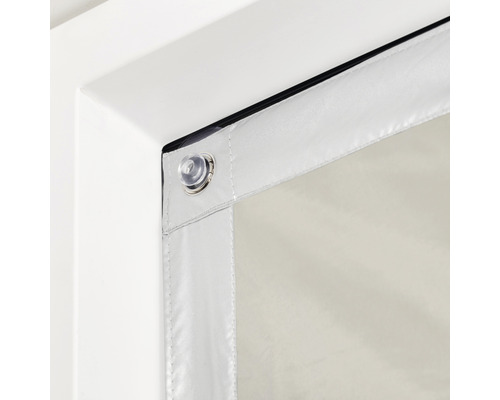 Detail einer transparenten Türvorhangbefestigung mit Saugnapf