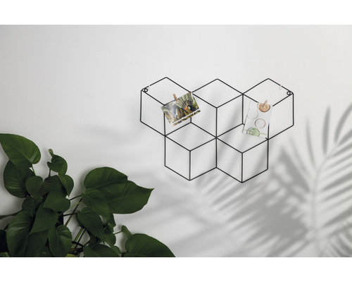 Dekorative Wandhalterung aus Metall mit Fotos und Pflanze