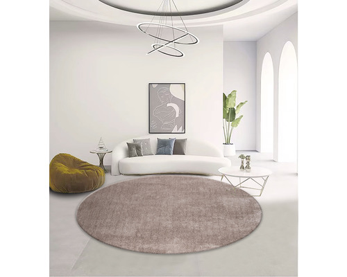 Wohnzimmer mit rundem Teppich, Sofa und Dekoration