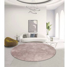 Wohnzimmer mit rundem Teppich, Sofa und Dekoration