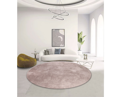 Wohnzimmer mit rundem Teppich, Sofa und Dekoration