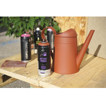 Sprühfarbe, Rostschutzgrundierung und Gießkanne auf einem Holztisch