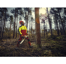 Forstwirt mit Kettensäge und Schutzkleidung im Wald