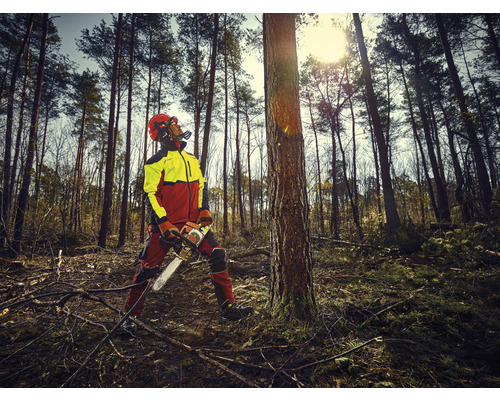 Forstwirt mit Kettensäge und Schutzkleidung im Wald