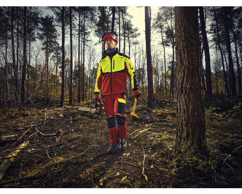 Forstwirt mit Kettensäge und Werkzeug im Wald
