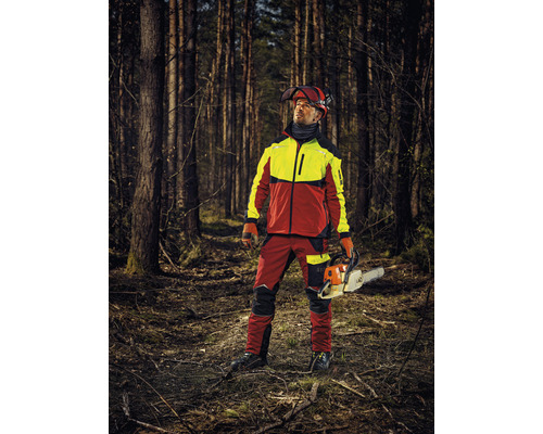 Forstarbeiter mit Schutzkleidung und Kettensäge im Wald