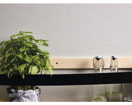 Dekorative Szene mit Basilikumpflanze und Glasflaschen an der Wand