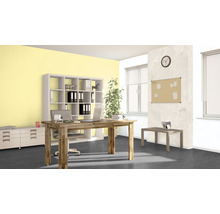 Helles Büro mit Schreibtisch, Regalen und Büromaterialien