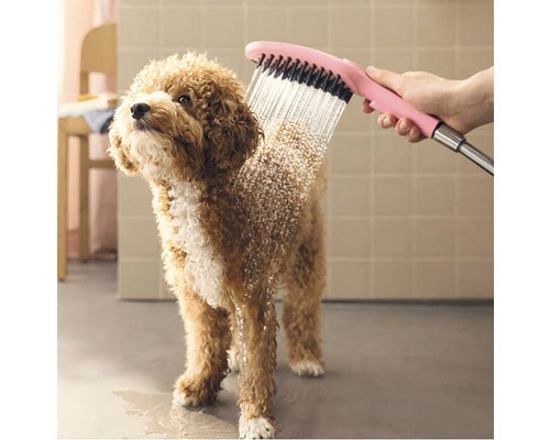 Hund wird mit einer Bürstenbrause gebadet