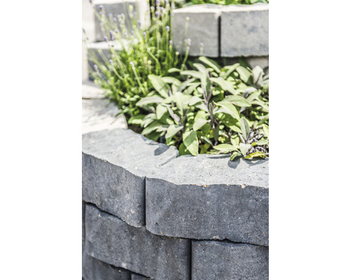 Detailansicht einer Gartenmauer aus grauen Betonsteinen mit Pflanzen