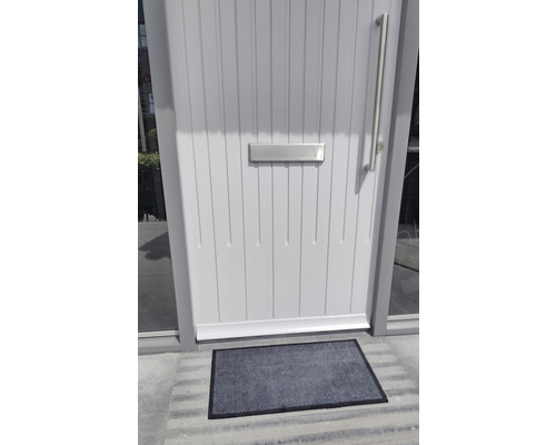 Eingangsbereich mit Fußmatte vor einer Haustür mit Briefschlitz und Griff