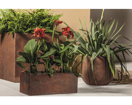 Blumenarrangement in Pflanzgefäßen im Innenbereich