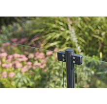 Detailansicht eines Glaszauns mit Metallpfosten im Garten