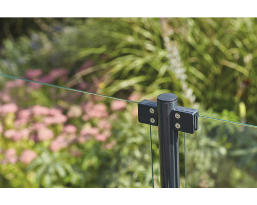 Detailansicht eines Glaszauns mit Metallpfosten im Garten