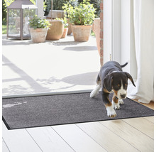 Graue Schmutzfangmatte im Eingangsbereich mit Hund