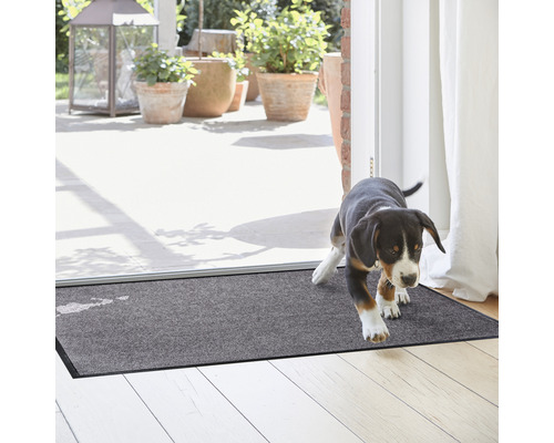 Graue Schmutzfangmatte im Eingangsbereich mit Hund