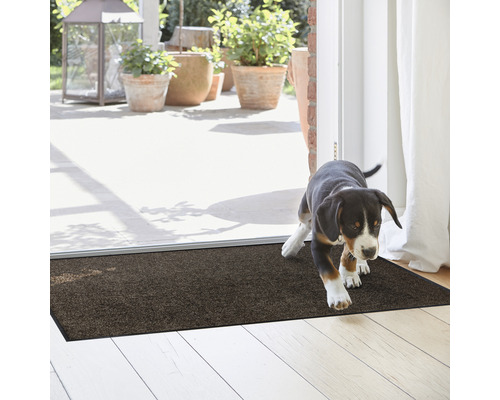 Fußmatte im Eingangsbereich mit einem Hundewelpen darauf.