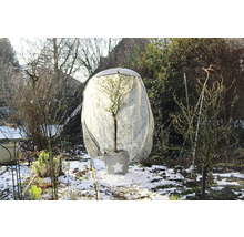 Baum mit Winterschutzhaube im Garten