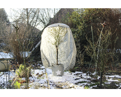 Baum mit Winterschutzhaube im Garten