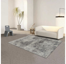 Wohnzimmer mit Teppich, Sofa, Stuhl und Zimmerpflanze