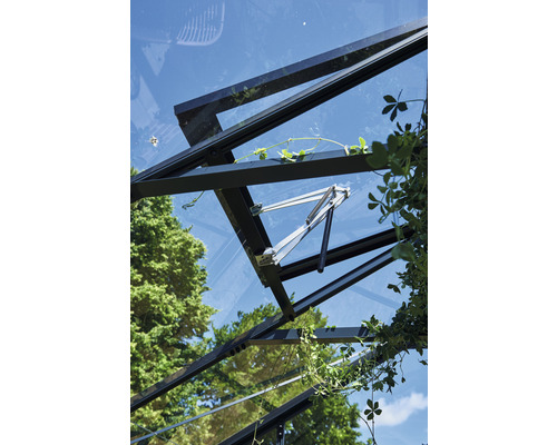 Detailansicht eines Gewächshausfensters mit schwarzem Rahmen und Fensteröffner vor blauem Himmel.