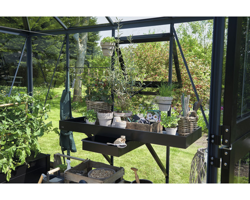 Gewächshaus Innenraum mit Arbeitstisch, Pflanzen und Gartengeräten