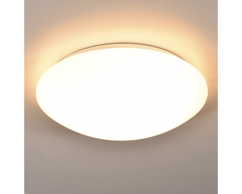 LED Deckenleuchte 10 W Ø 300 mm, 1-flammig IP 20 weiß (CLE1P4B-D3014)