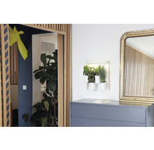 Helles Interieur mit Kommode, Wandbepflanzung und Spiegel