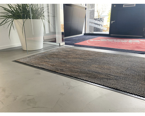 Eingangsbereich mit Schmutzfangmatte und Pflanze im Topf