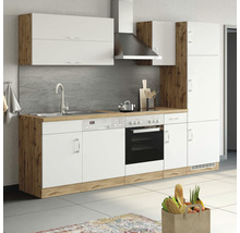 Küchenzeile mit Spüle, Geschirrspüler, Herd, Ofen, Dunstabzugshaube und Hängeschränken