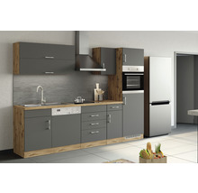 Komplette Küche mit Spüle, Geschirrspüler, Herd, Backofen, Dunstabzugshaube und Kühlschrank in modernem Design