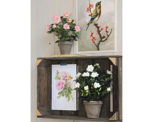 Dekorative Szene mit Holzregal, Kunstblumen und gerahmten Bildern